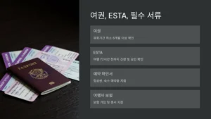 여권, ESTA, 필수 서류